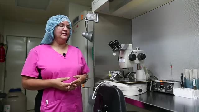 Proceso de almacenamiento de óvulos dorados