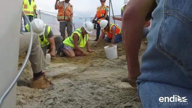 Descubren en Colorado un raro fósil de dinosaurio - El Nuevo Día