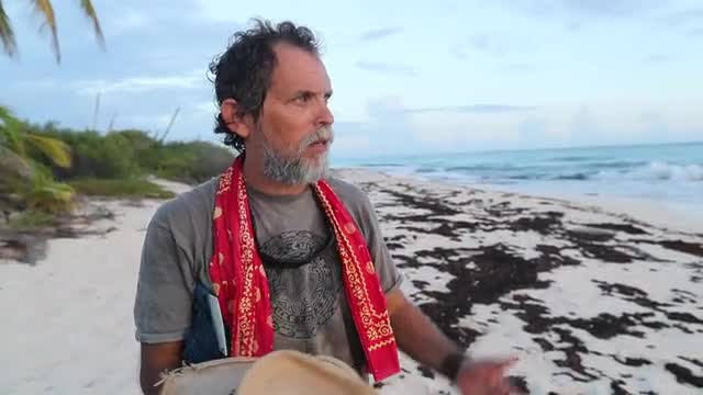 El biólogo Carlos Diez detalla el proceso de eclosión del carey