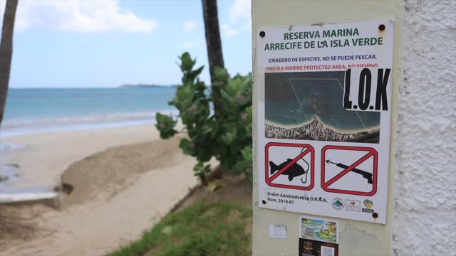 Reserva Marina Arrecife de la Isla Verde: joya ecológica en medio de la ciudad 