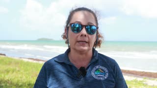 Personal del DRNA rescató a seis ballenas varadas en Humacao